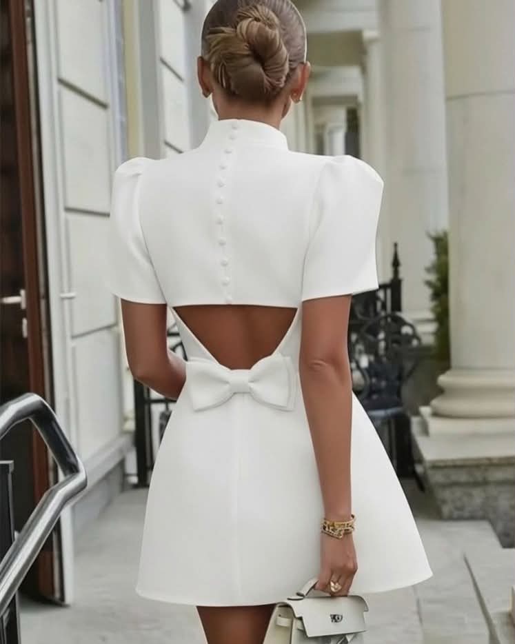 Elegant And Stylish Short Dress